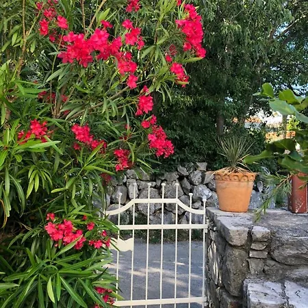 Feriehus Maja Stone House *