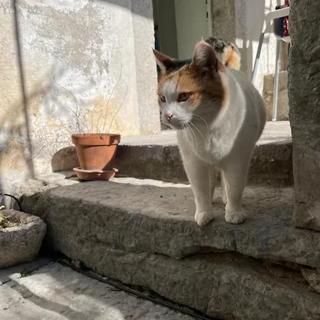 Feriehus Maja Stone House Kornić